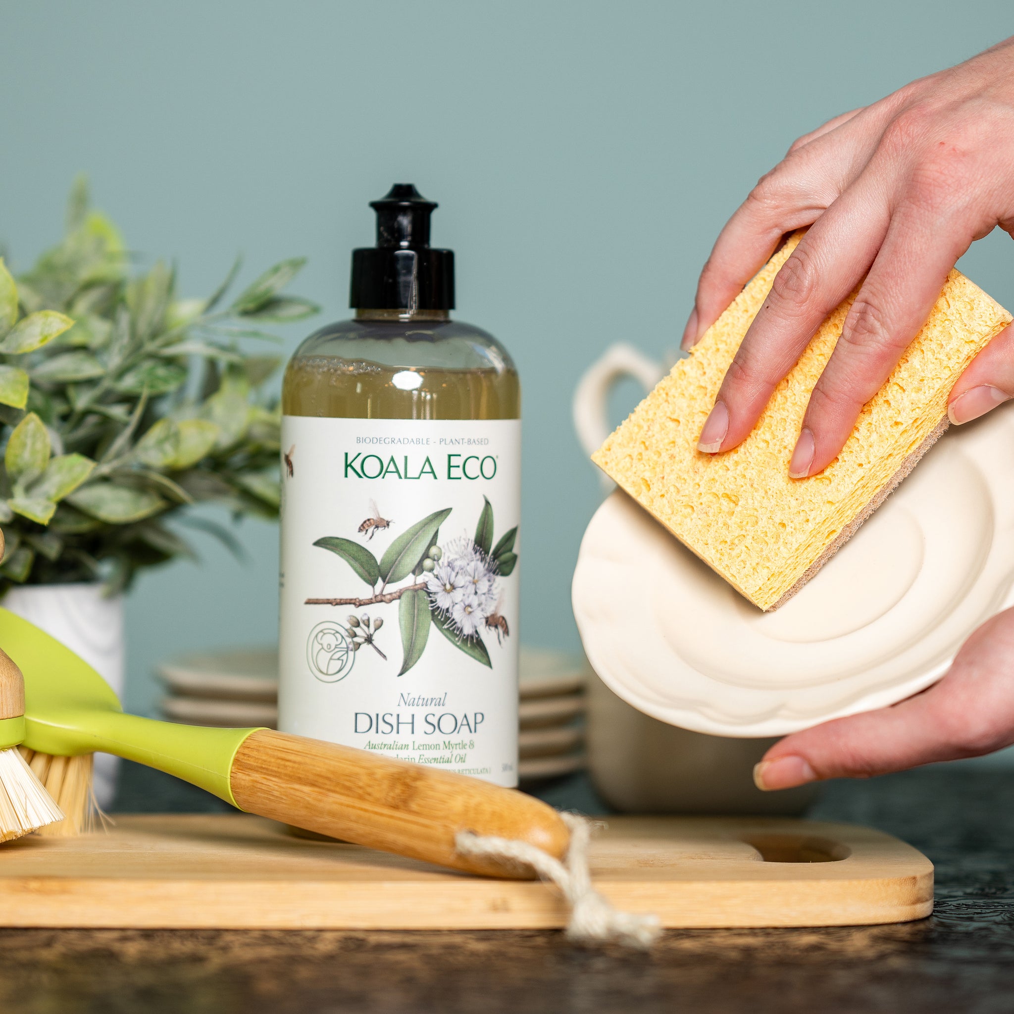 Natural Dish Soap