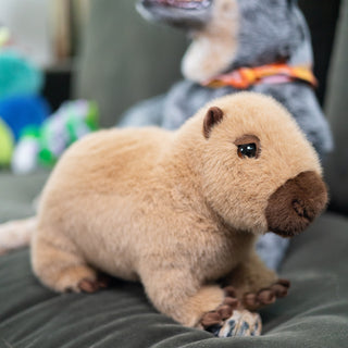 Chattie Capybara