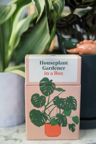 Houseplant Garden Deck